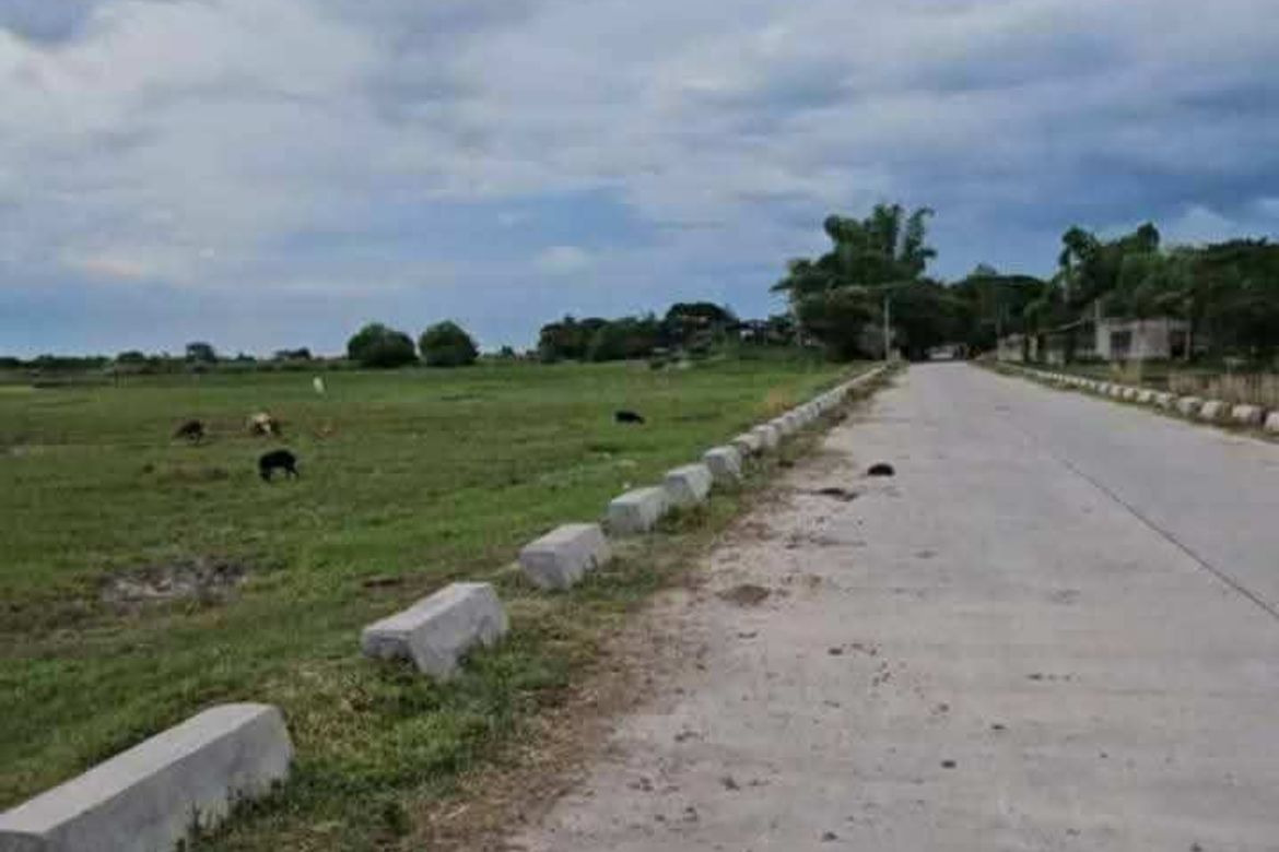 Land for Sale in Bantog, Tarlac, Tarlac – photo 4