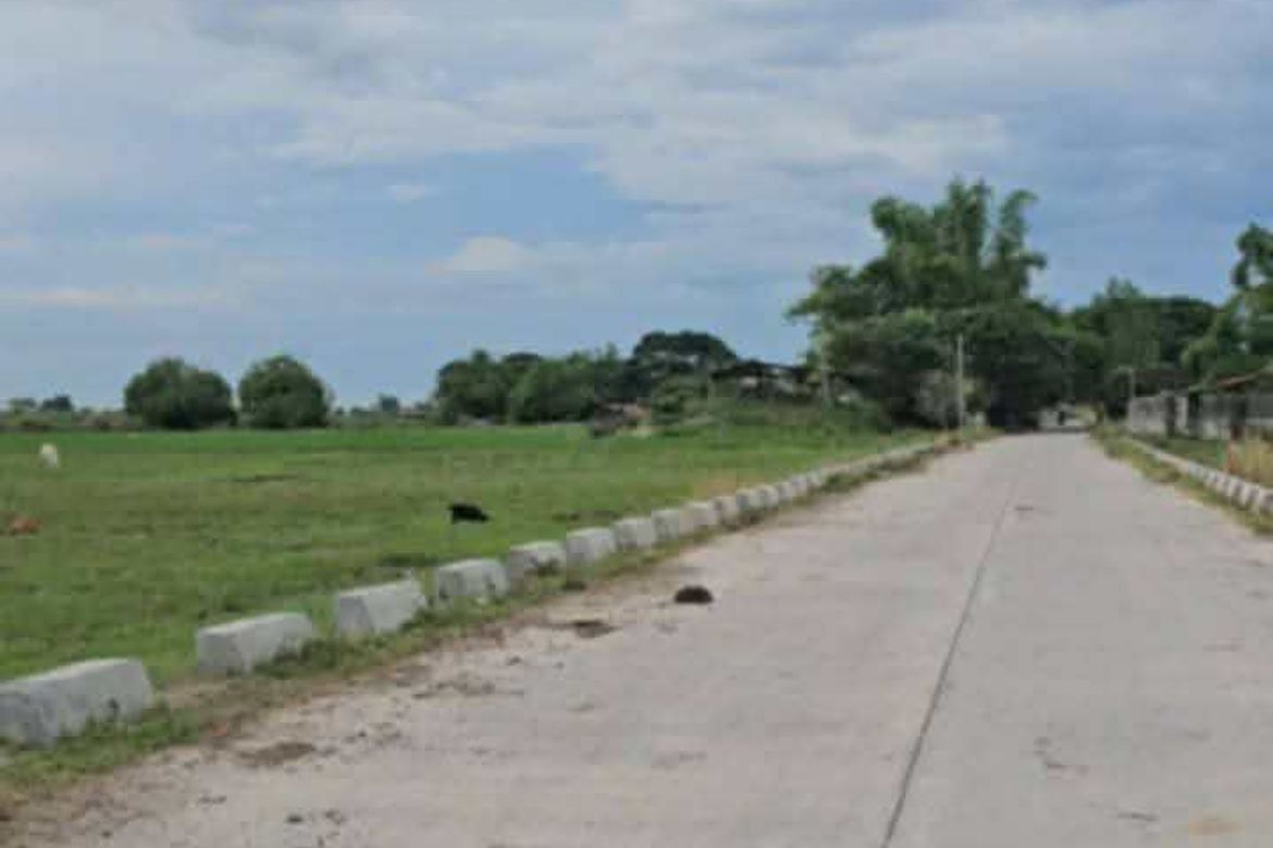 Land for Sale in Bantog, Tarlac, Tarlac – photo 7