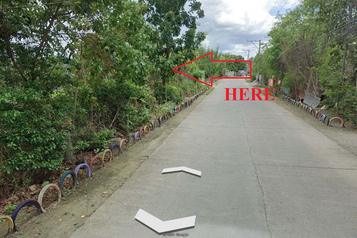 Land for Sale in Bantug Bulalo, Cabanatuan, Nueva Ecija – photo 5