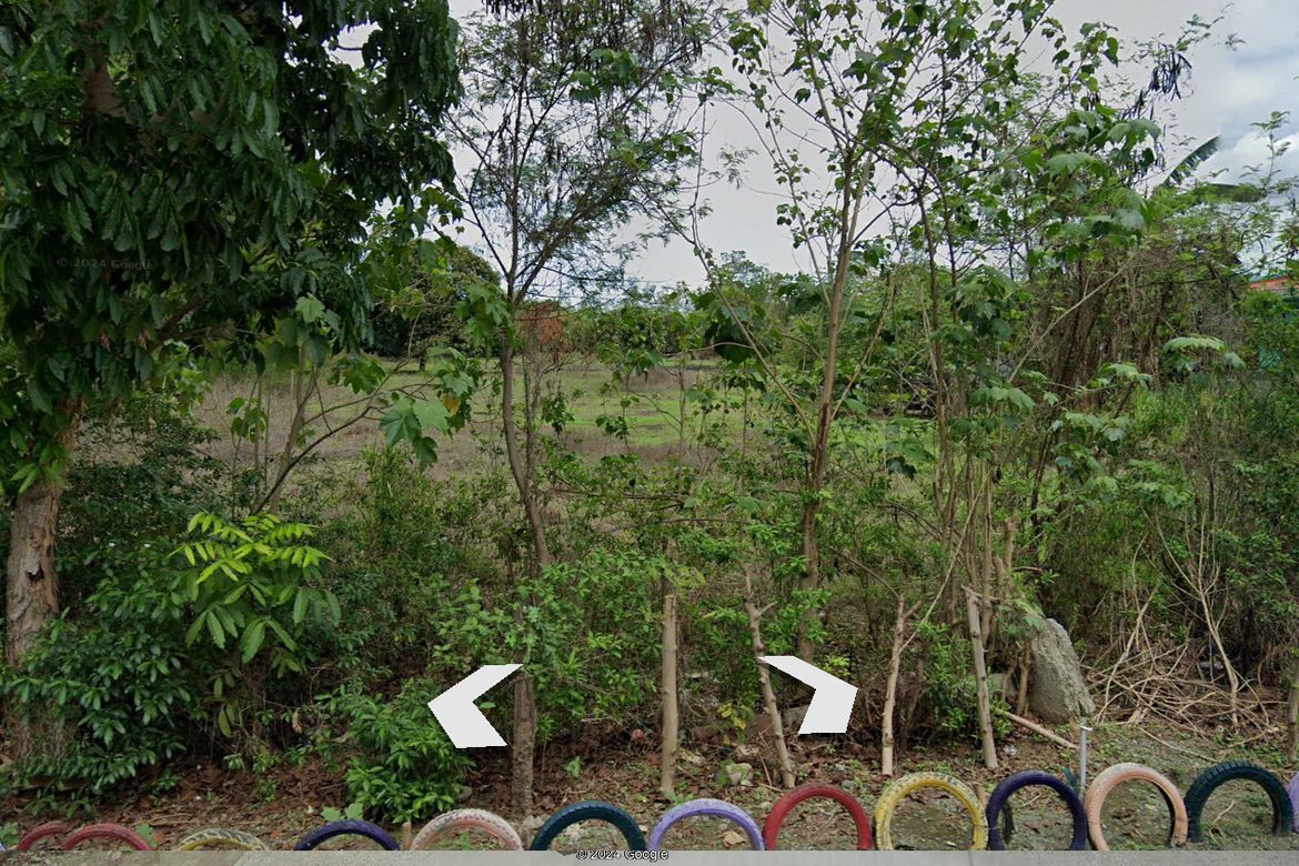 Land for Sale in Bantug Bulalo, Cabanatuan, Nueva Ecija – photo 6