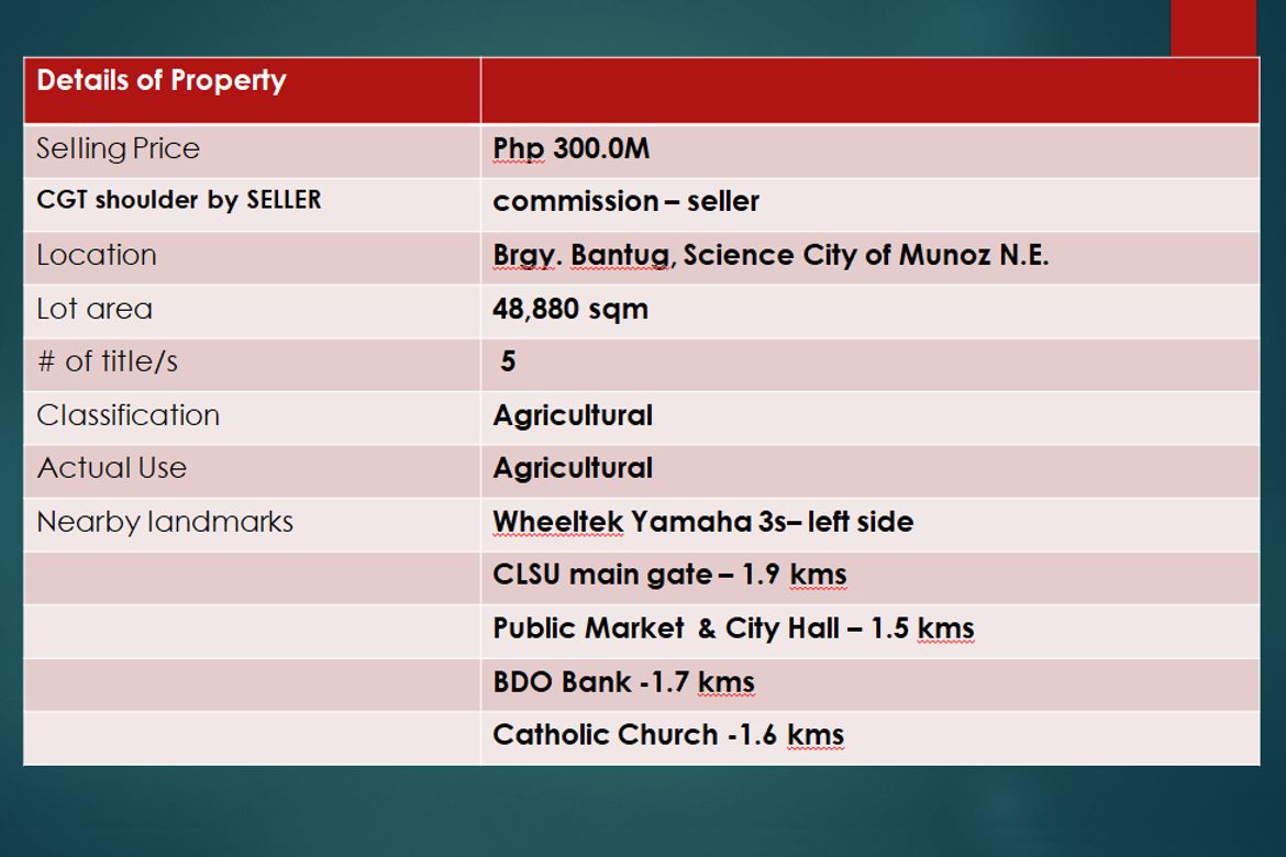 Land for Sale in Bantug, Muñoz, Nueva Ecija – photo 7