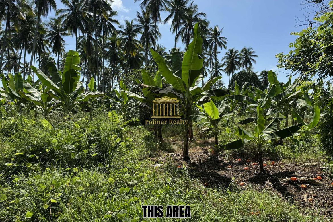 Land for Sale in Baracatan, Davao City, Davao del Sur – photo 2