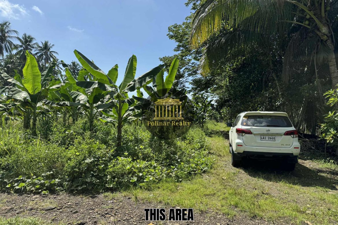 Land for Sale in Baracatan, Davao City, Davao del Sur – photo 4