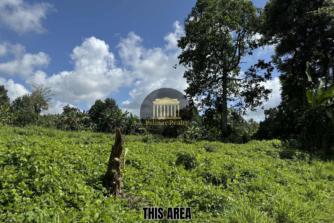 Land for Sale in Baracatan, Davao City, Davao del Sur – photo 6