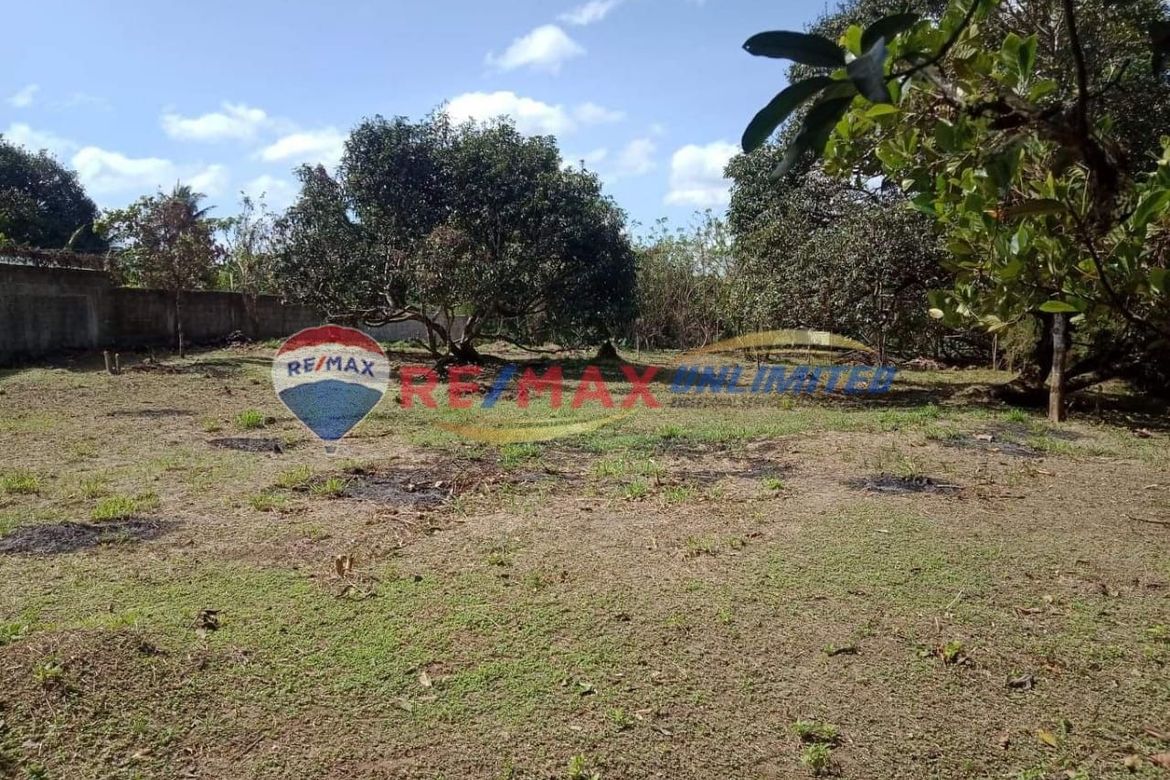 Land for Sale in Barangay 1, Indang, Cavite