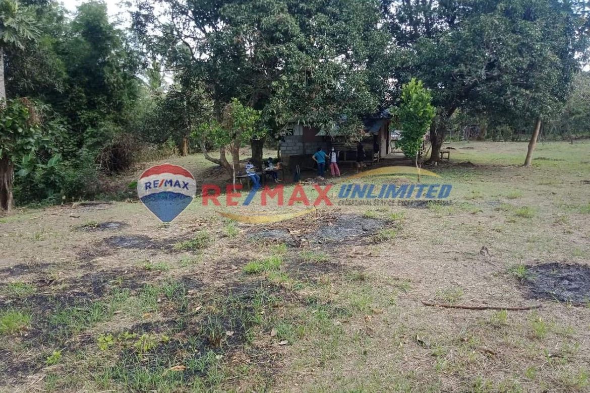 Land for Sale in Barangay 1, Indang, Cavite – photo 2