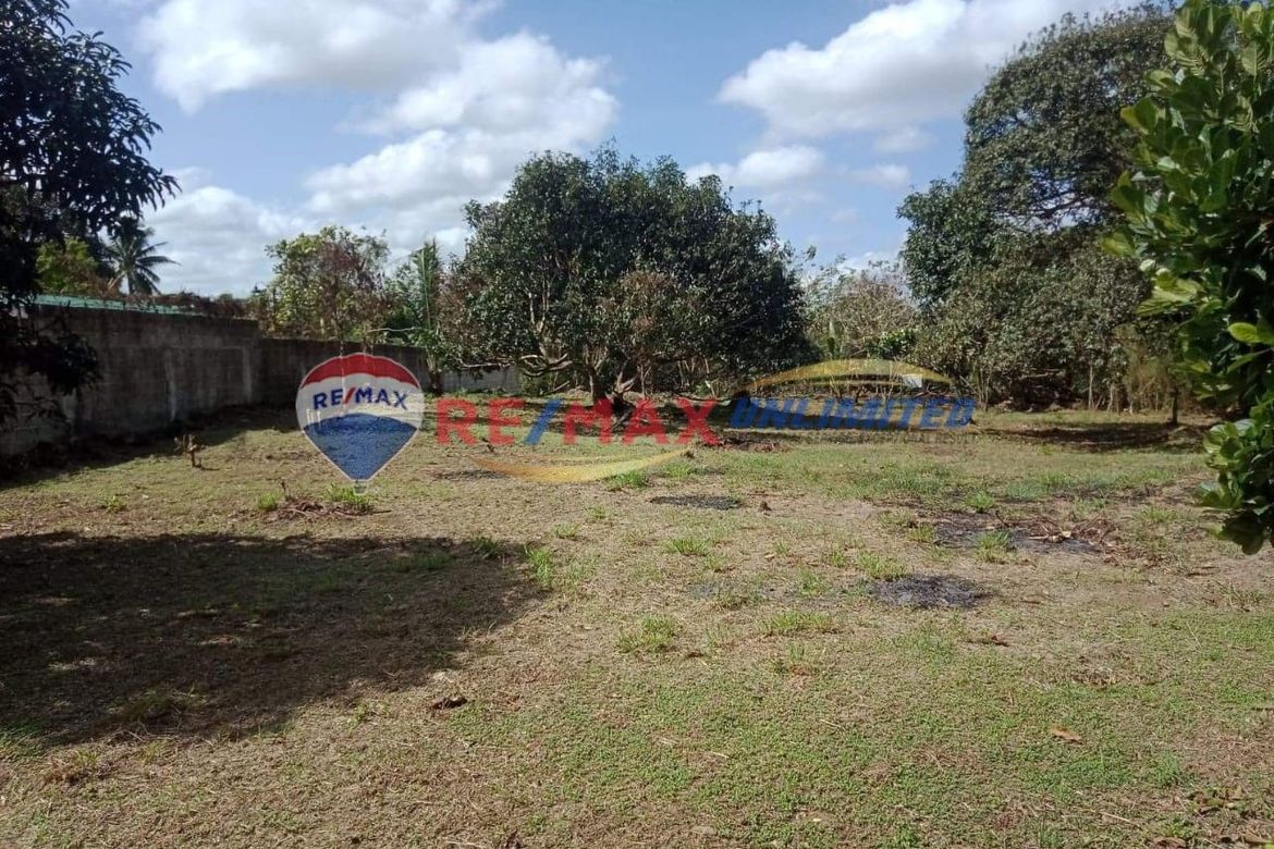Land for Sale in Barangay 1, Indang, Cavite – photo 3
