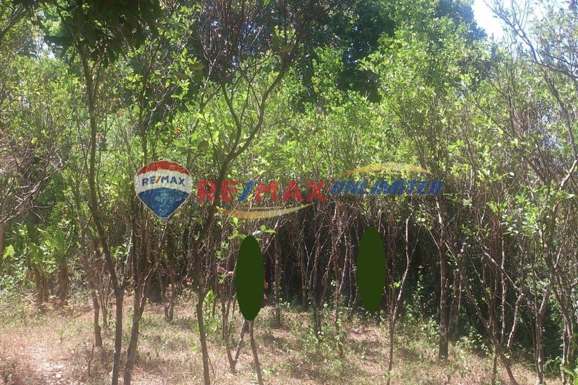 Land for Sale in Barangay 1, Indang, Cavite – photo 4