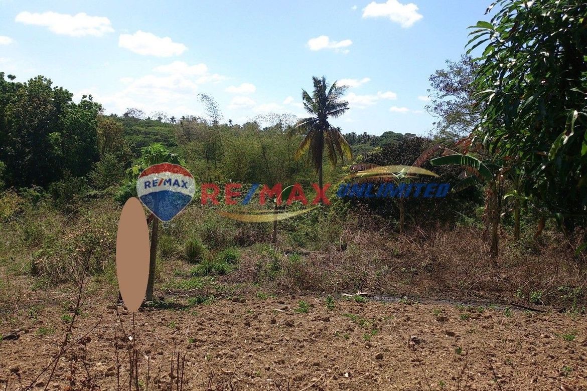 Land for Sale in Barangay 1, Indang, Cavite – photo 5