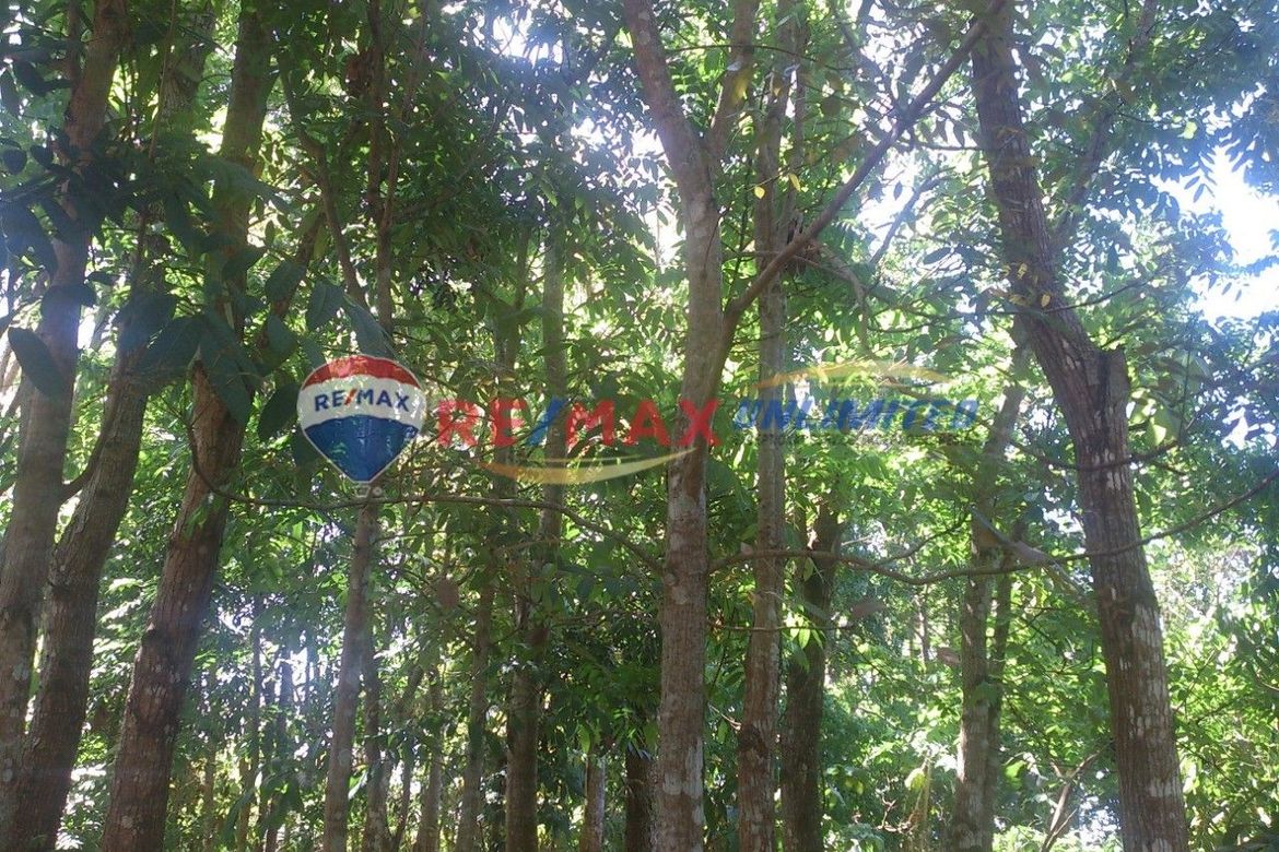 Land for Sale in Barangay 1, Indang, Cavite – photo 6