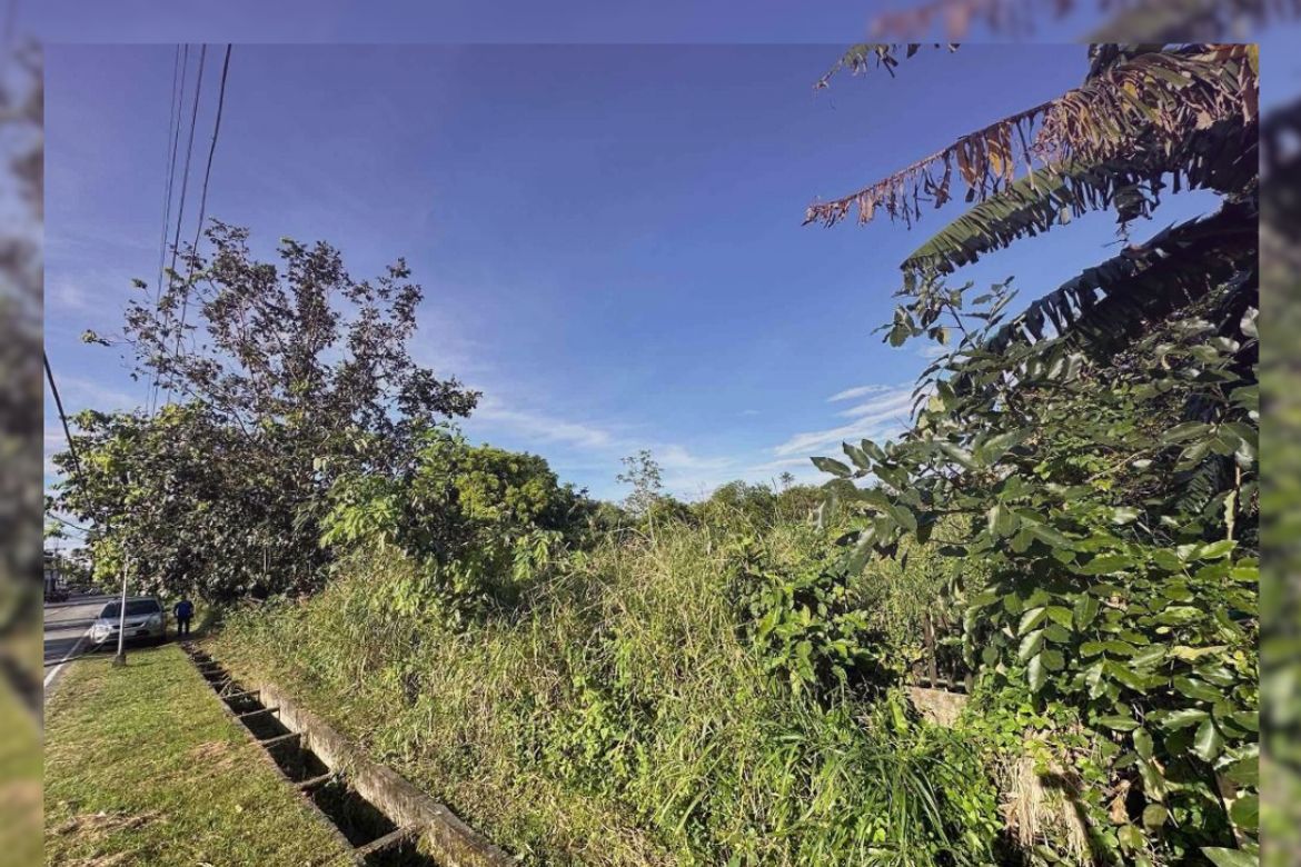 Land for Sale in Barangay 1, Magallanes, Cavite – photo 2