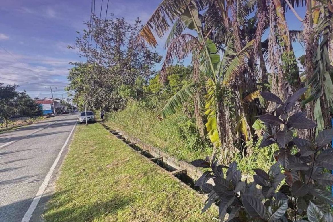 Land for Sale in Barangay 1, Magallanes, Cavite – photo 4