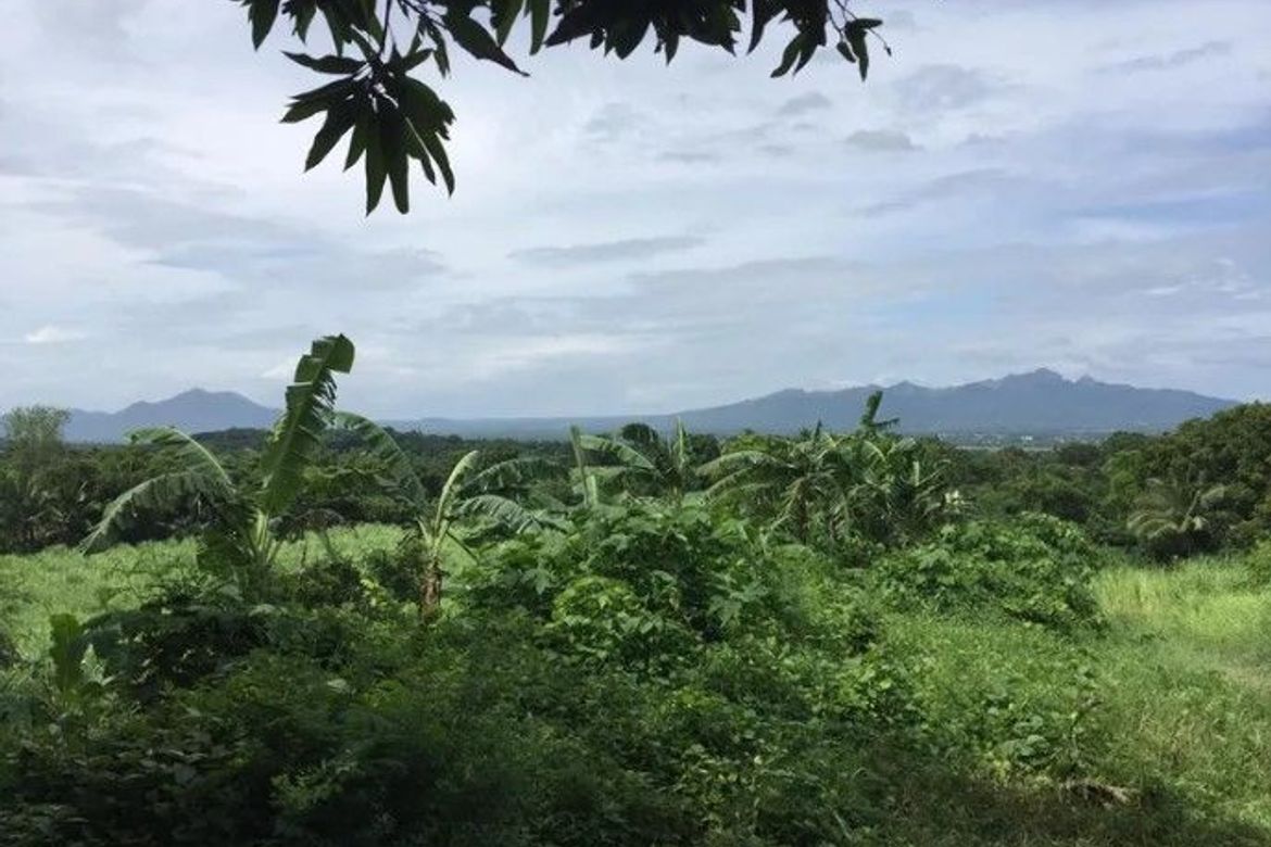 Land for Sale in Barangay 16, Batangas City, Batangas