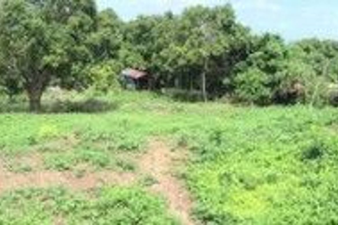 Land for Sale in Barangay 16, Batangas City, Batangas – photo 2