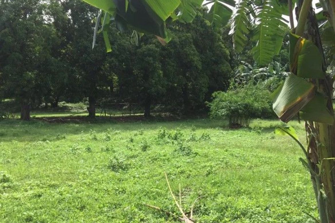 Land for Sale in Barangay 16, Batangas City, Batangas – photo 5