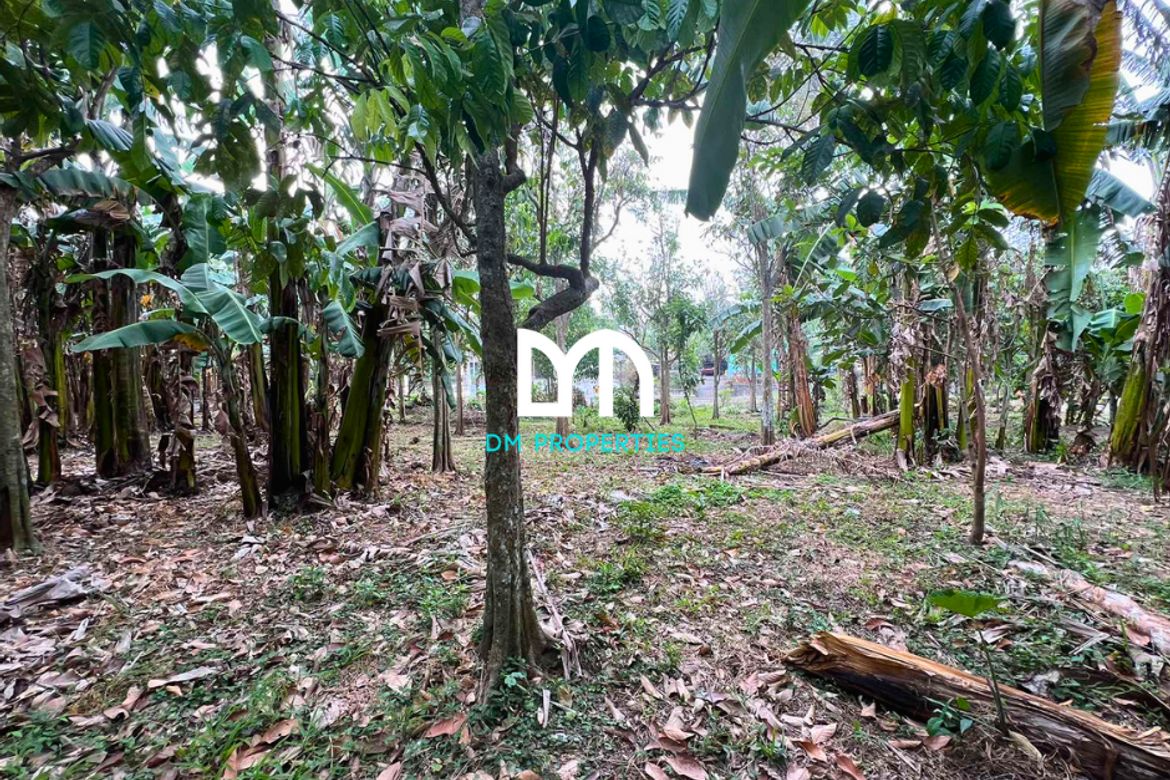 Land for Sale in Barangay 16, Batangas City, Batangas – photo 2