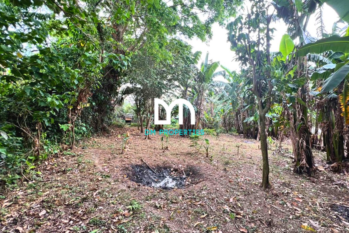 Land for Sale in Barangay 16, Batangas City, Batangas – photo 3