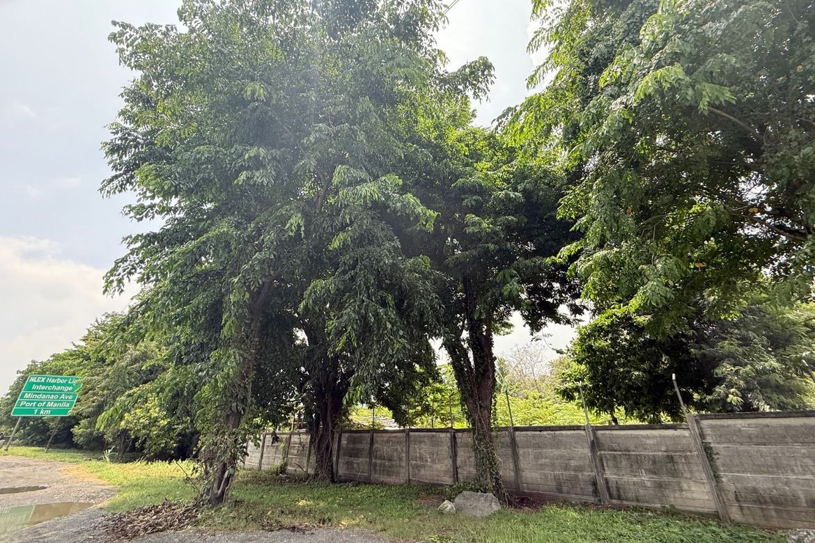 Land for Sale in Barangay 161, Caloocan, Metro Manila – photo 3