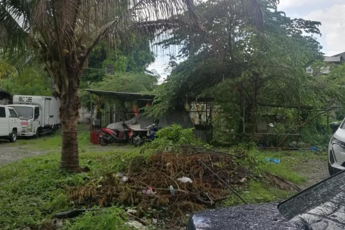Land for Sale in Barangay 178, Caloocan, Metro Manila – photo 2