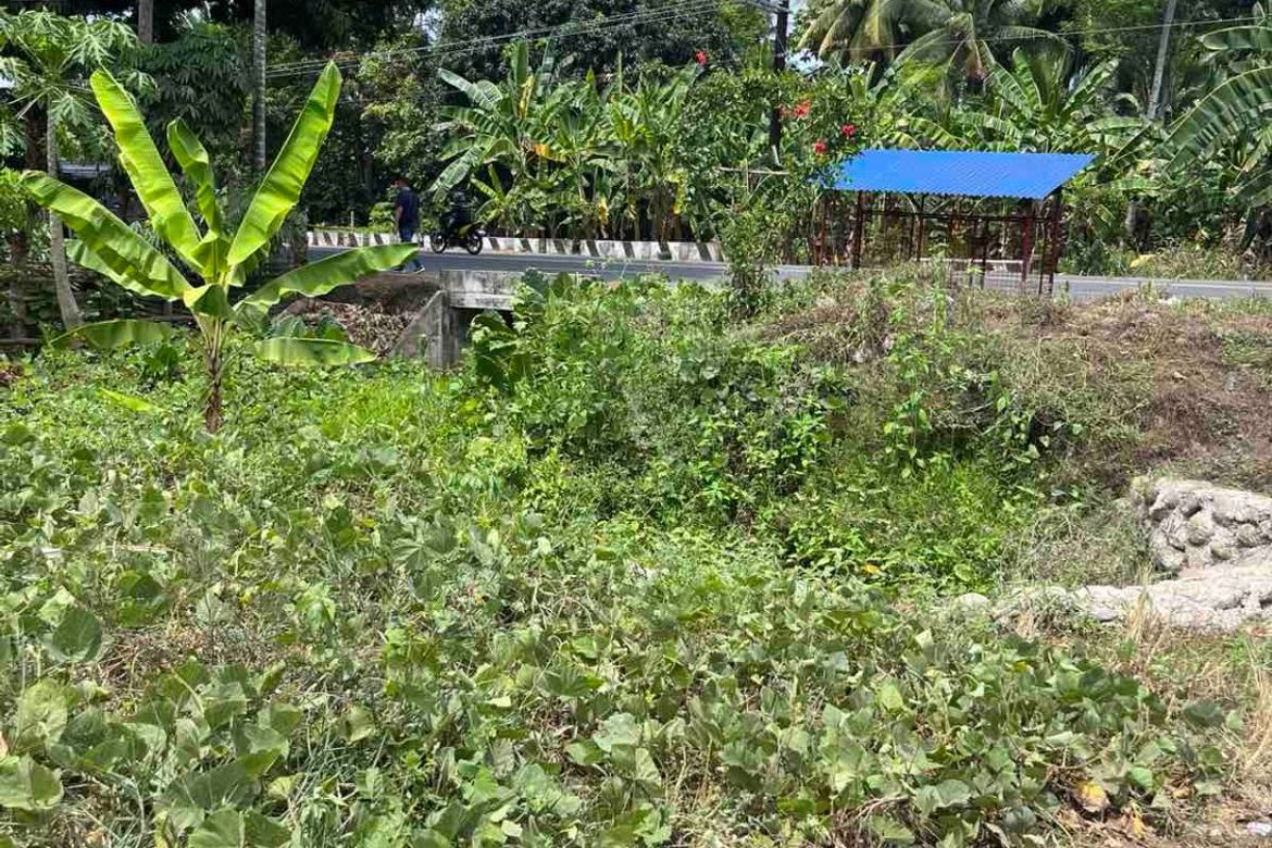 Land for Sale in Barangay 26, Gingoog, Misamis Oriental – photo 2
