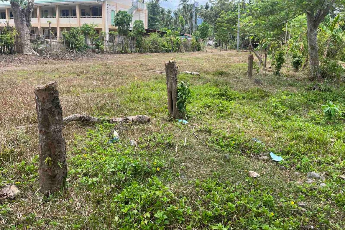 Land for Sale in Barangay 26, Gingoog, Misamis Oriental – photo 4