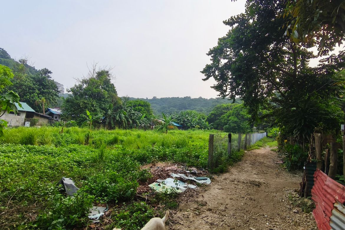 Land for Sale in Barangay 3, Calatagan, Batangas – photo 2