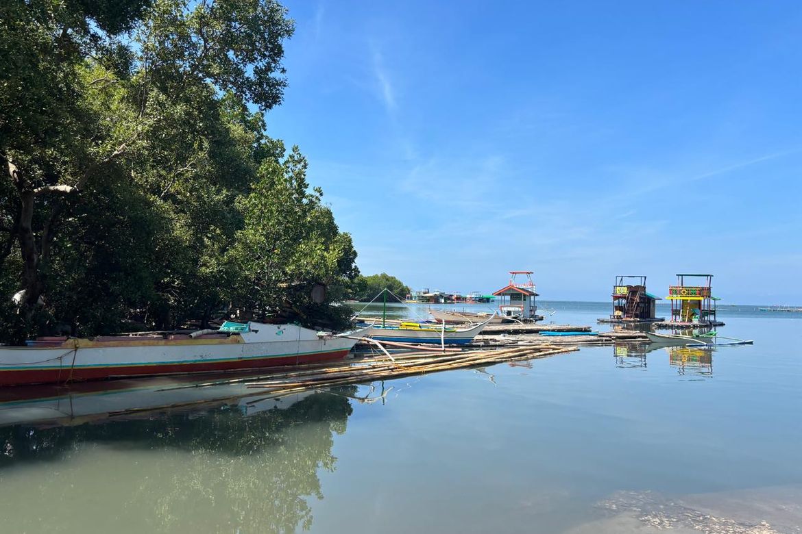 Land for Sale in Barangay 3, Calatagan, Batangas – photo 3