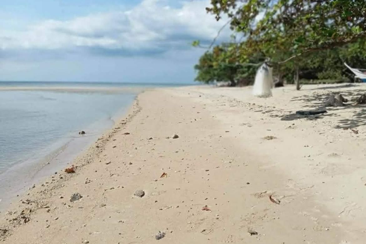 Land for Sale in Barangay 3, Calatagan, Batangas
