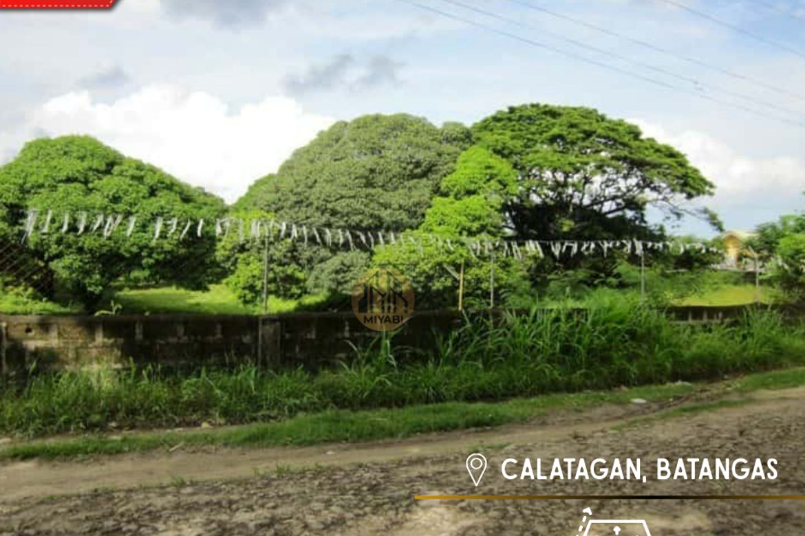 Land for Sale in Barangay 3, Calatagan, Batangas
