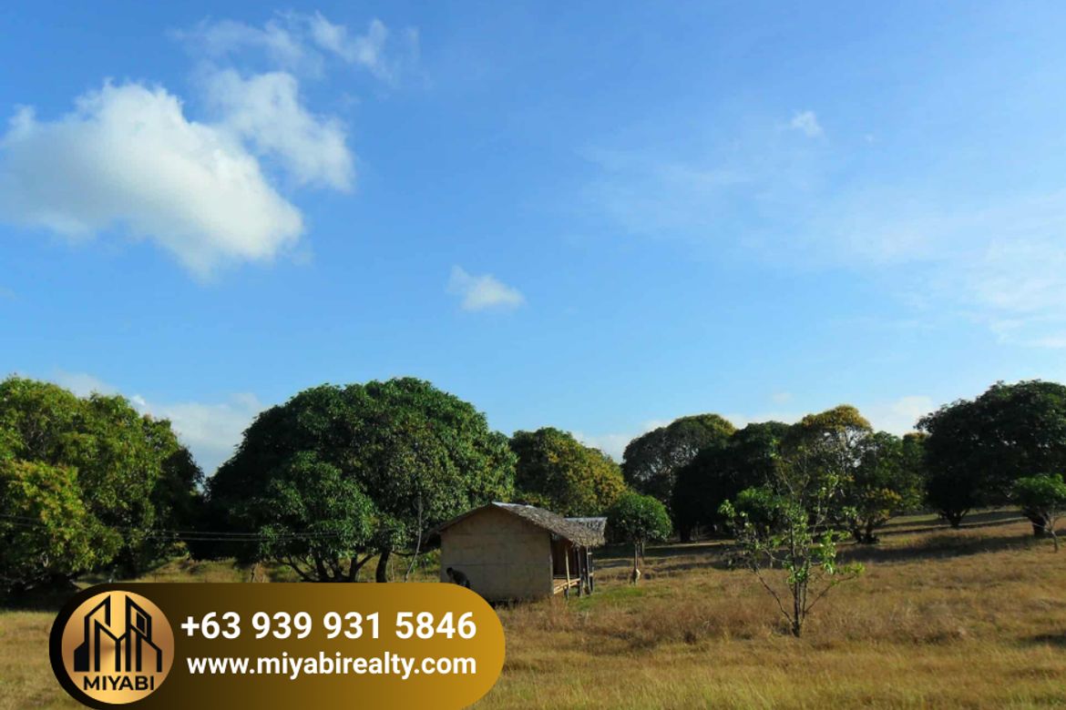 Land for Sale in Barangay 3, Calatagan, Batangas – photo 2