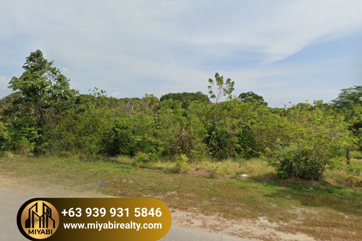 Land for Sale in Barangay 3, Calatagan, Batangas – photo 2