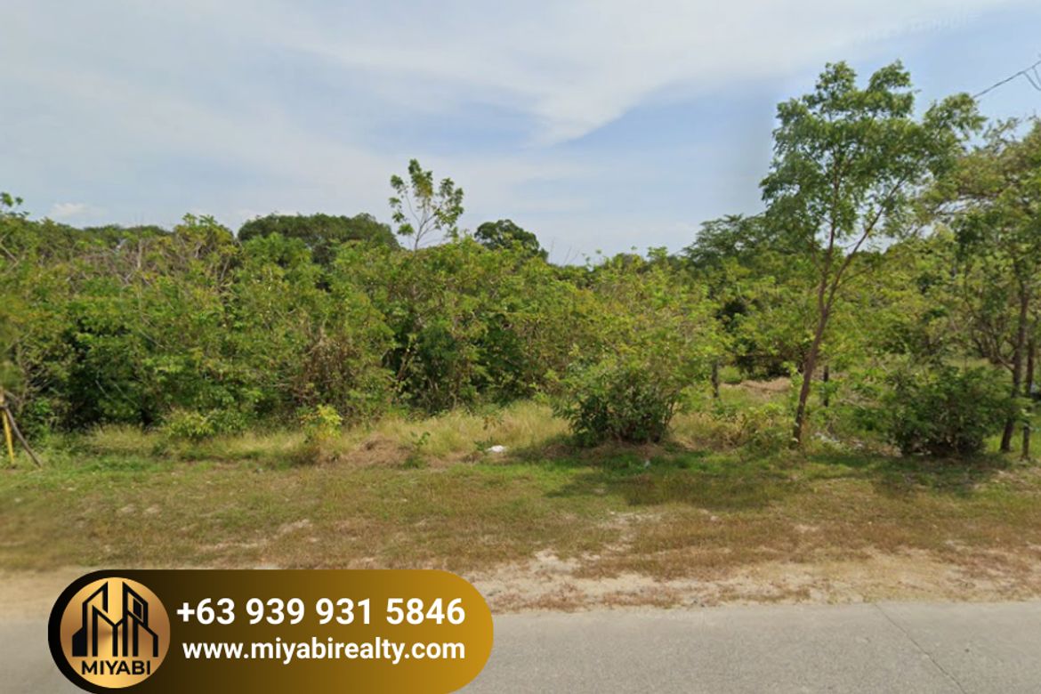 Land for Sale in Barangay 3, Calatagan, Batangas – photo 3