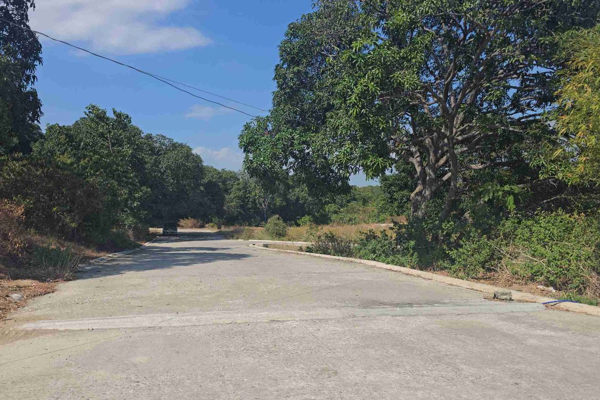 Land for Sale in Barangay 3, Calatagan, Batangas – photo 2
