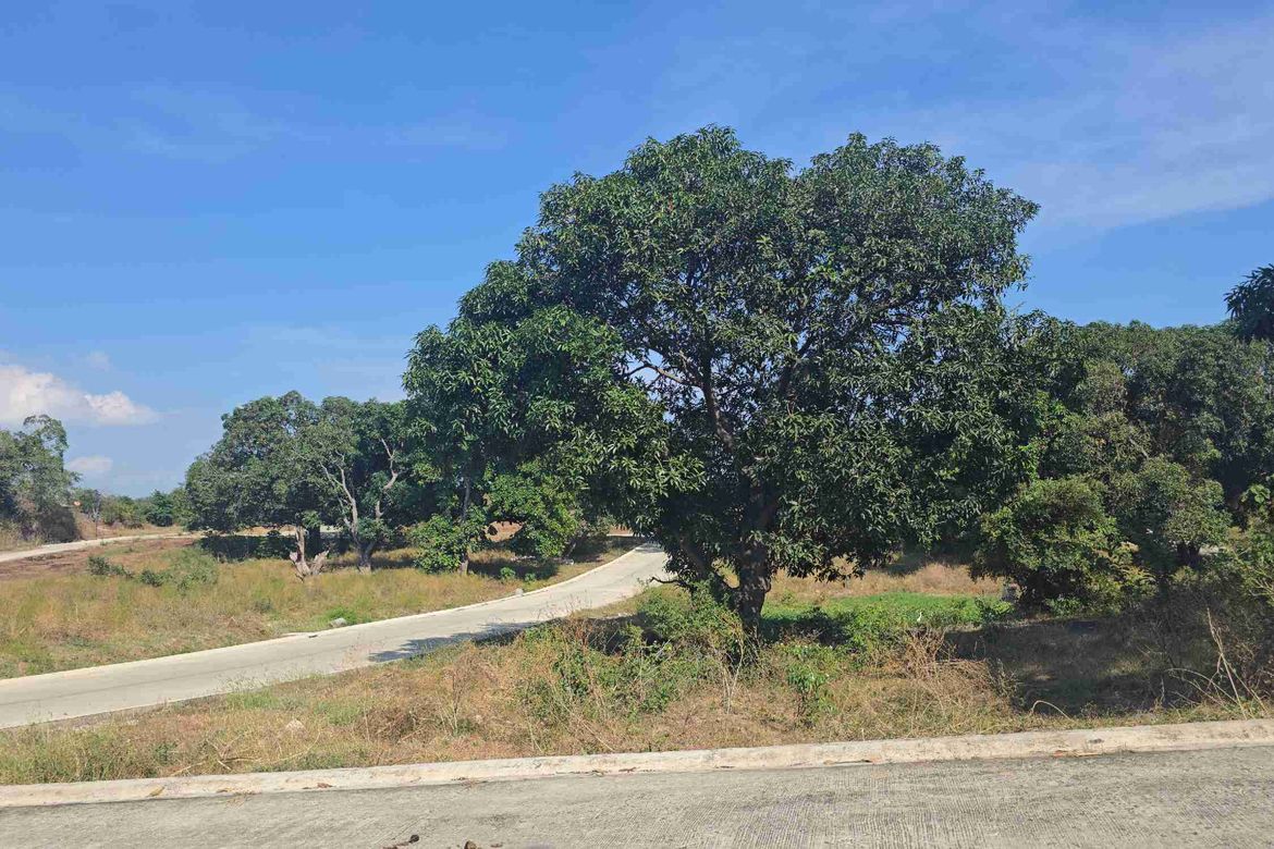 Land for Sale in Barangay 3, Calatagan, Batangas – photo 4