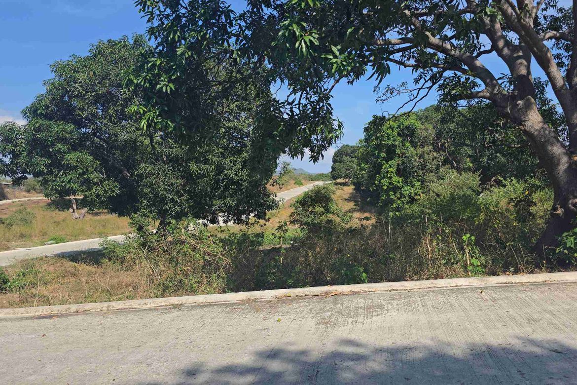 Land for Sale in Barangay 3, Calatagan, Batangas – photo 5