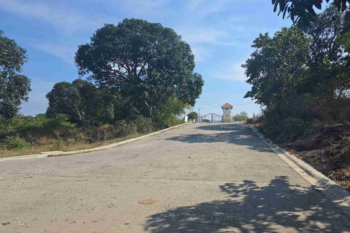 Land for Sale in Barangay 3, Calatagan, Batangas – photo 8