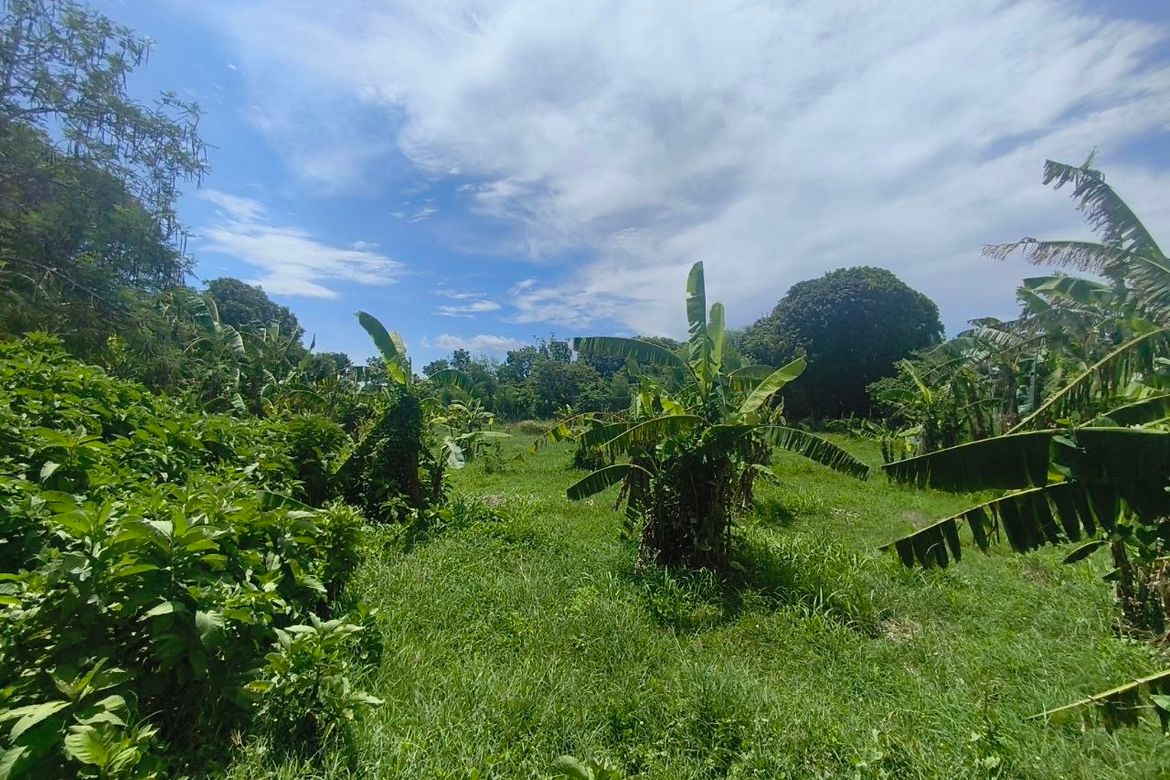 Land for Sale in Barangay 3, Calatagan, Batangas – photo 2