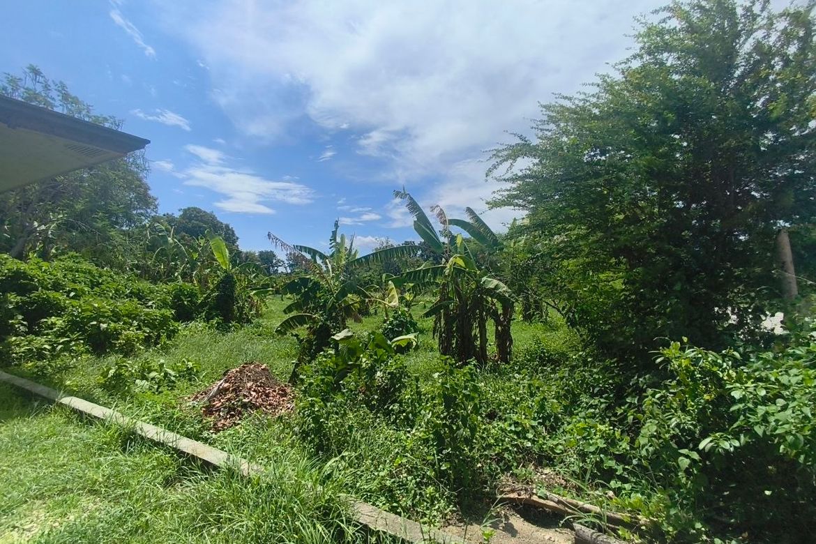 Land for Sale in Barangay 3, Calatagan, Batangas – photo 3
