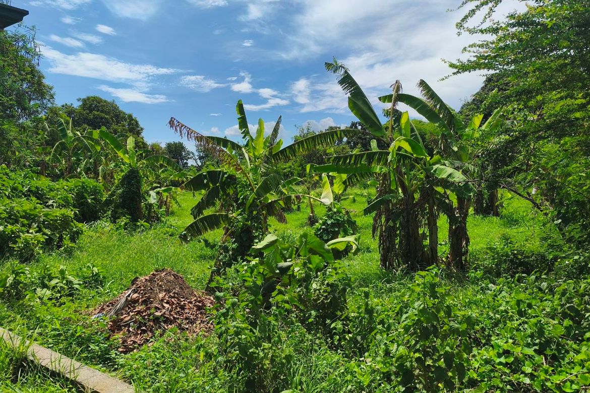 Land for Sale in Barangay 3, Calatagan, Batangas – photo 4