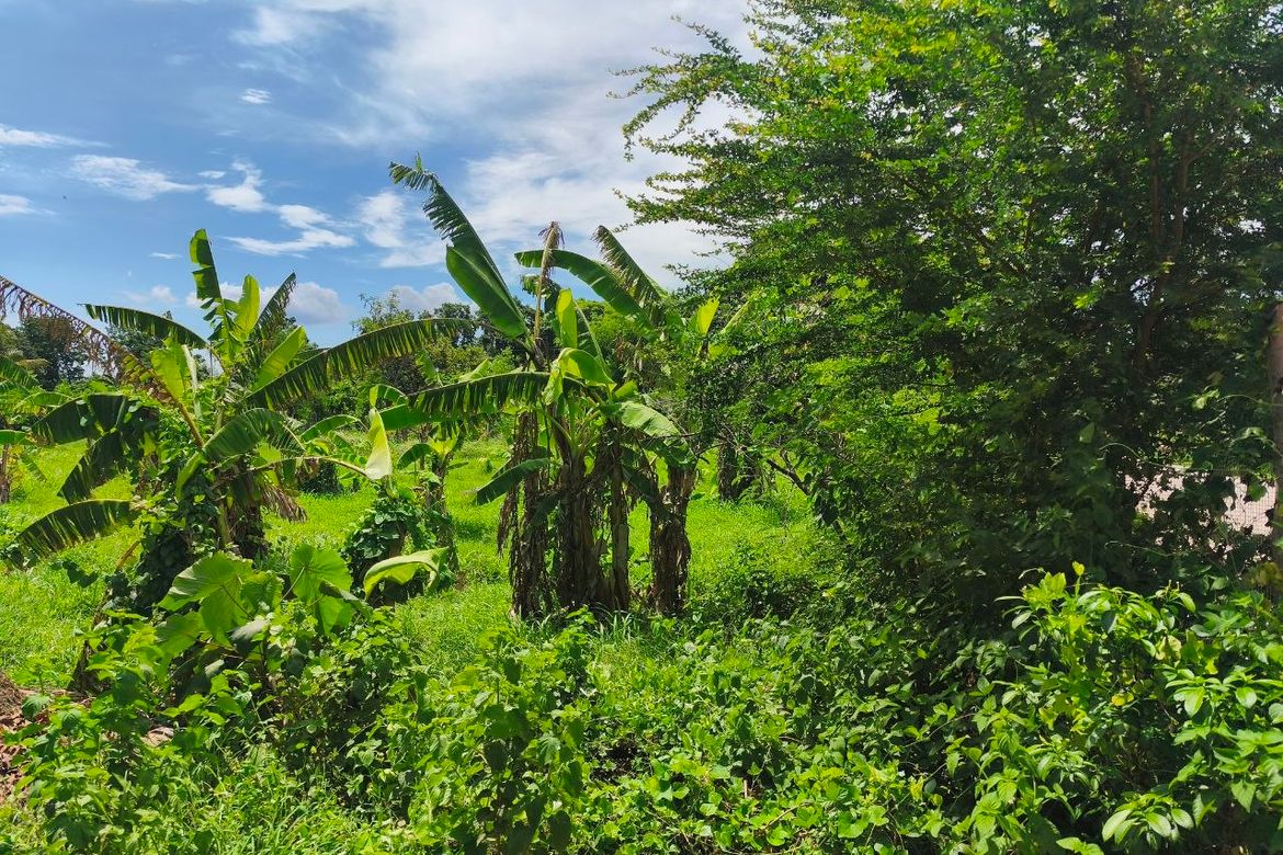 Land for Sale in Barangay 3, Calatagan, Batangas – photo 5