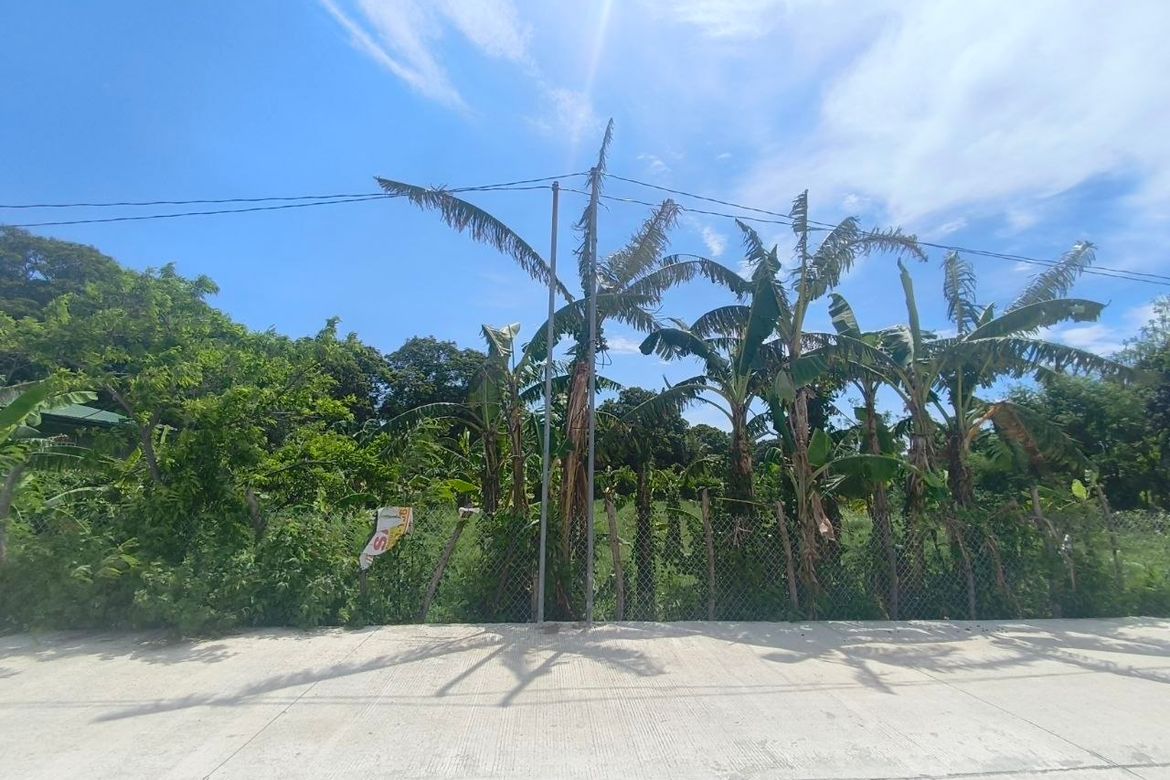 Land for Sale in Barangay 3, Calatagan, Batangas – photo 8