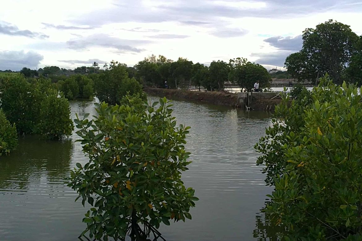 Land for Sale in Barangay 3, Calatagan, Batangas – photo 6