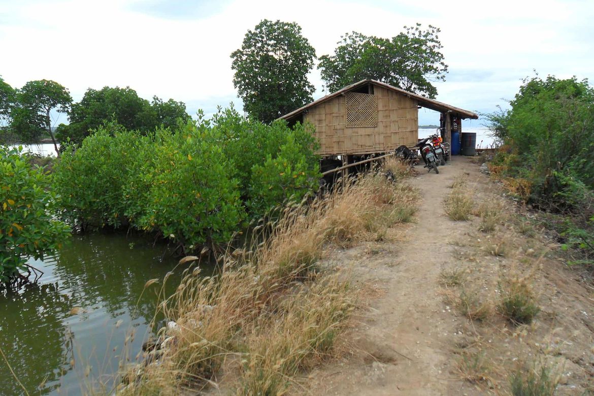 Land for Sale in Barangay 3, Calatagan, Batangas – photo 7