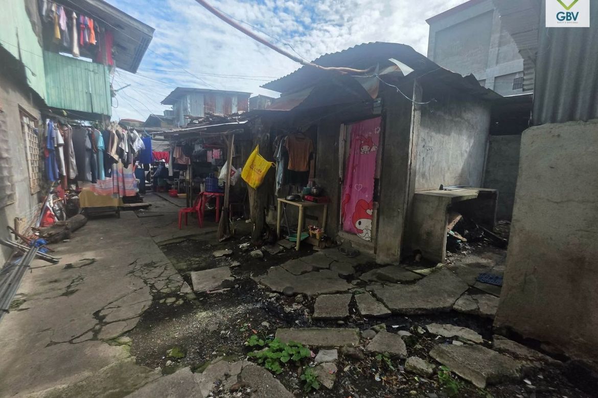 Land for Sale in Barangay 33-D, Davao City, Davao del Sur – photo 5