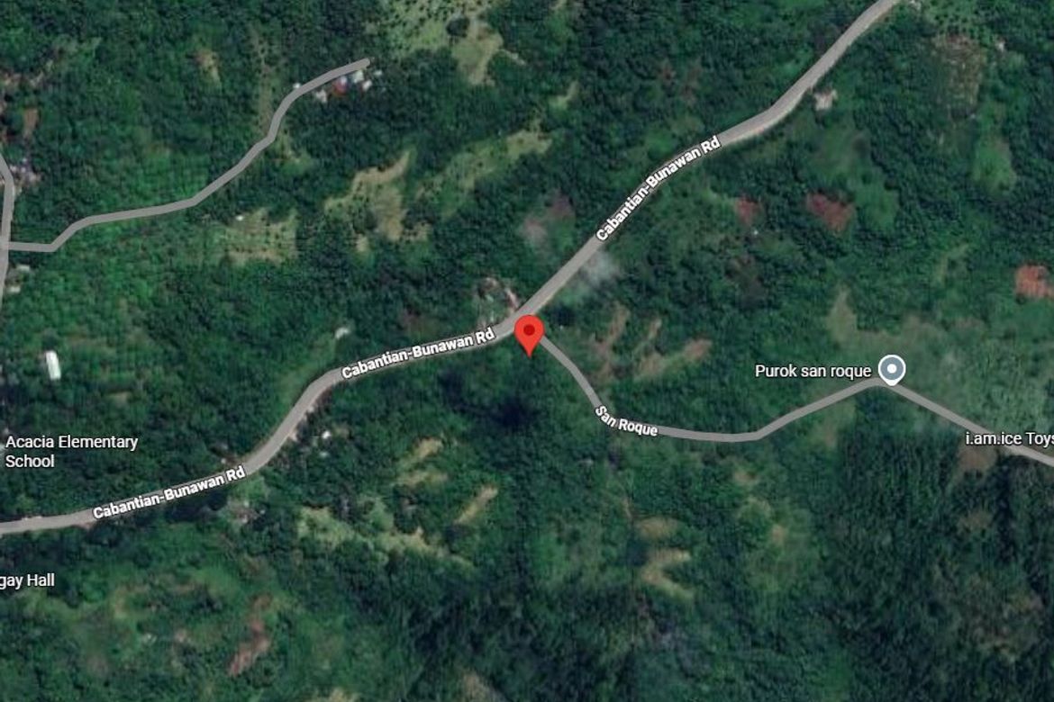 Land for Sale in Barangay 38-D, Davao City, Davao del Sur – photo 4
