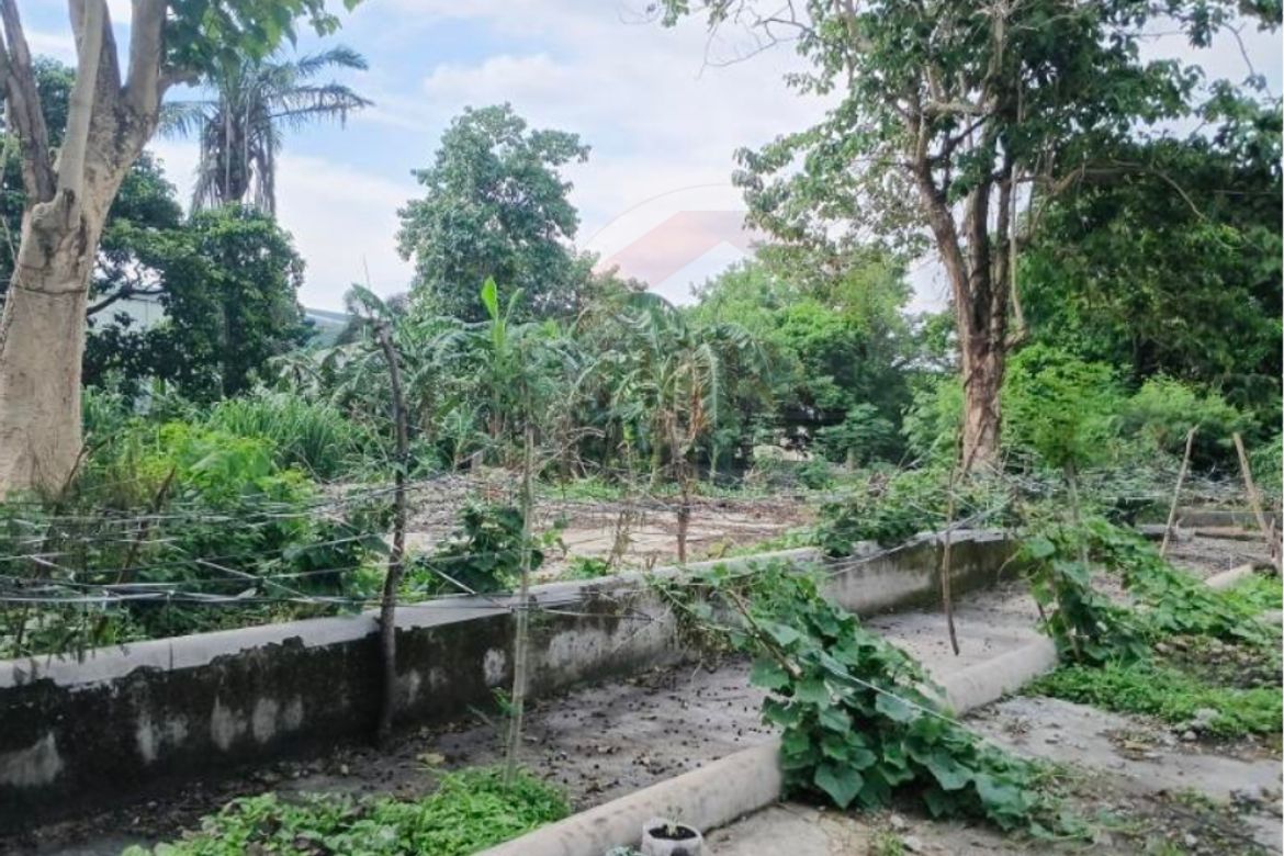 Land for Sale in Barangay 4, Carmona, Cavite – photo 3