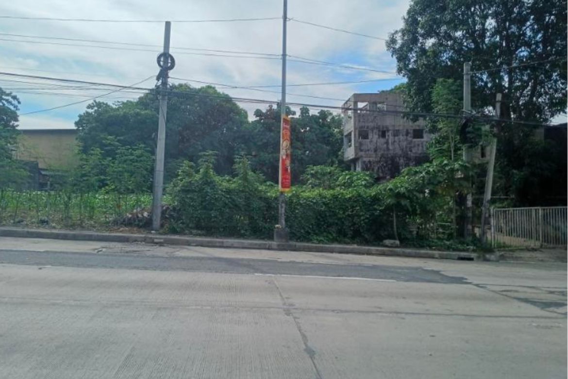 Land for Sale in Barangay 4, Carmona, Cavite – photo 7