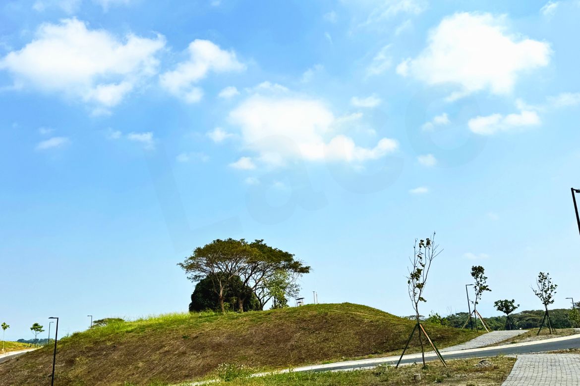 Land for Sale in Barangay 4, Carmona, Cavite – photo 5
