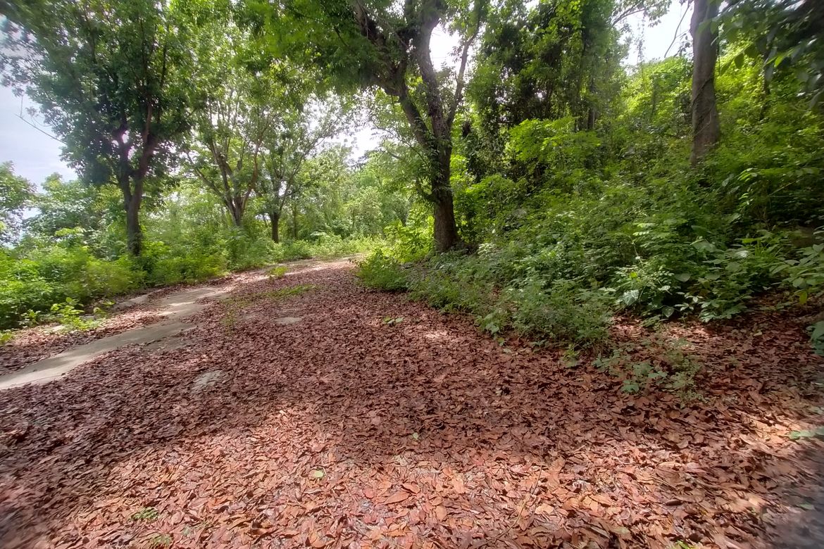Land for Sale in Barangay 5, Lian, Batangas – photo 3