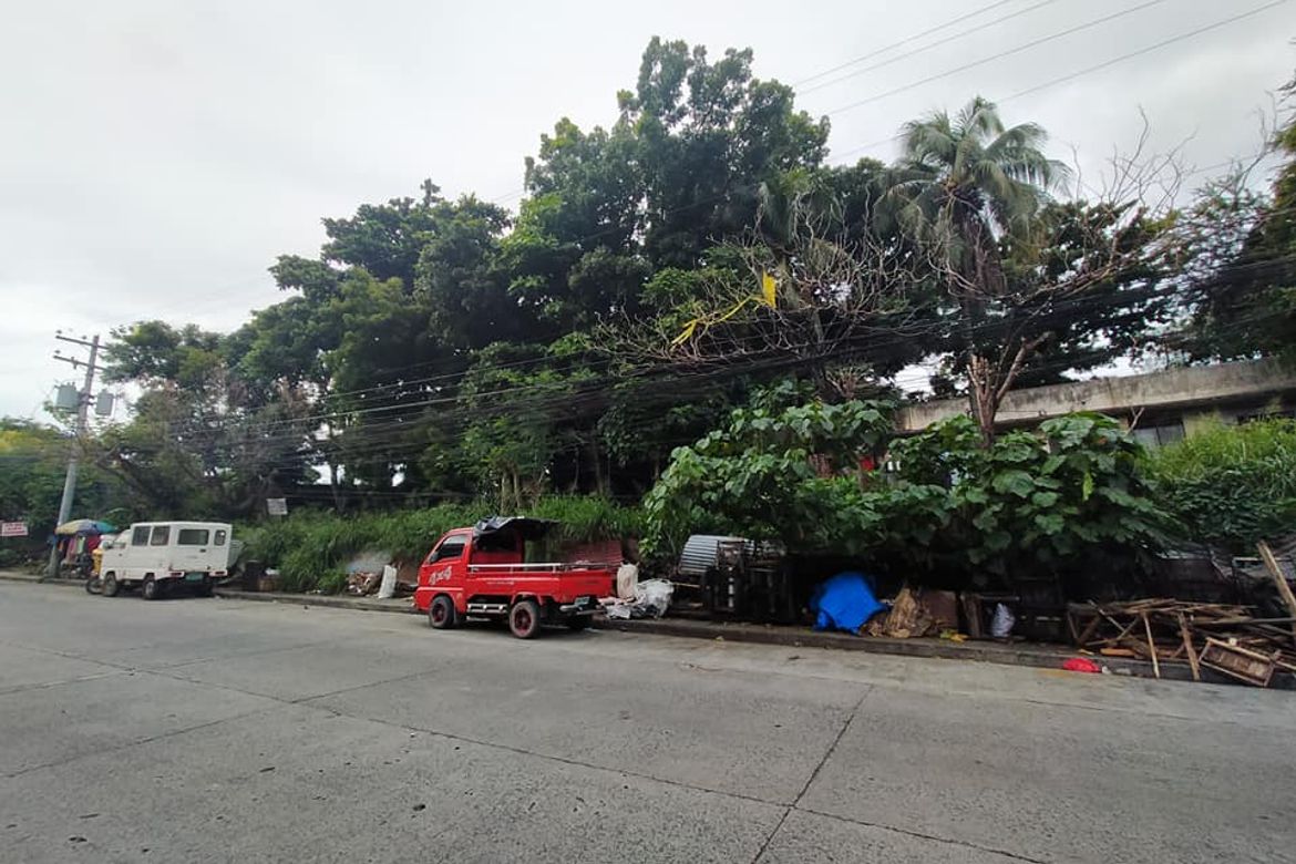 Land for Sale in Barangay 6-A, Davao City, Davao del Sur – photo 5